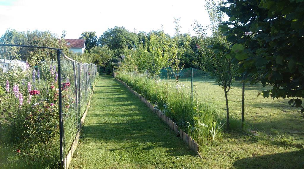 Farm Stay Lackovic Bilje Eksteriør bilde
