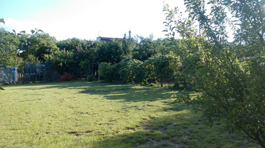 Farm Stay Lackovic Bilje Eksteriør bilde