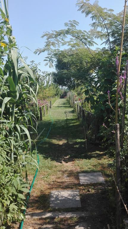 Farm Stay Lackovic Bilje Eksteriør bilde